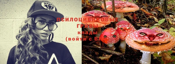 крисы Нижний Тагил