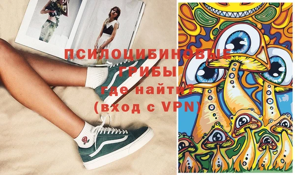ГАЛЛЮЦИНОГЕННЫЕ ГРИБЫ Магадан