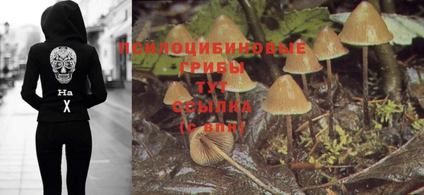 стафф Магас