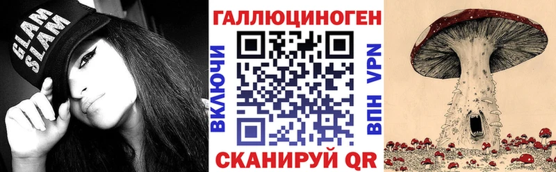 где купить   Кисловодск  Псилоцибиновые грибы Psilocybine cubensis 