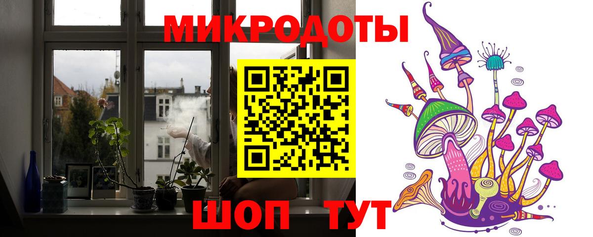 Псилоцибиновые грибы MAGIC MUSHROOMS  Галлюциногенные грибы Cubensis  Кисловодск  Вход с VPN 